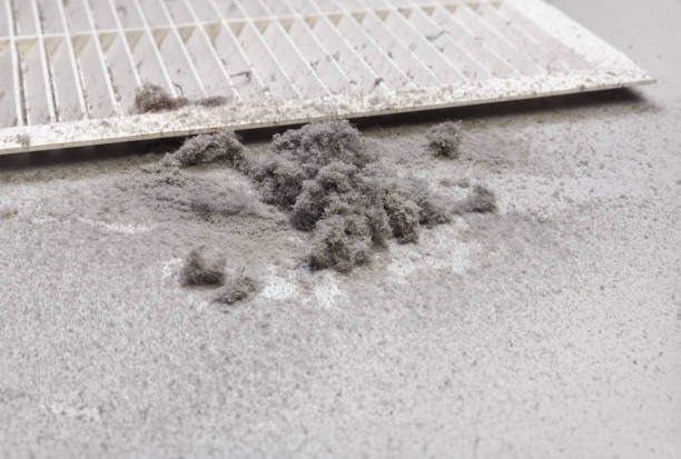 Best HVAC Air Duct Cleaning  in Brigantine, NJ