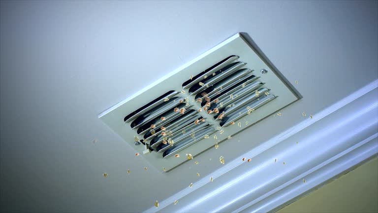 Best Professional Duct Cleaning Services  in Brigantine, NJ