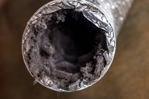 Best Air Duct Cleaning Near Me  in Brigantine, NJ